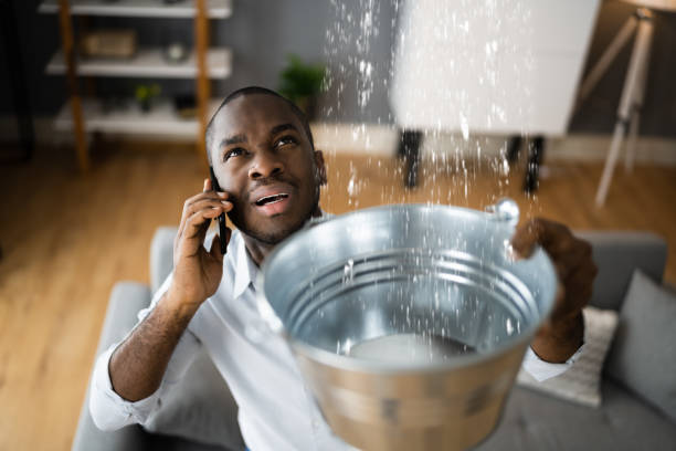 Best Mold removal after water damage  in Hopewell, VA