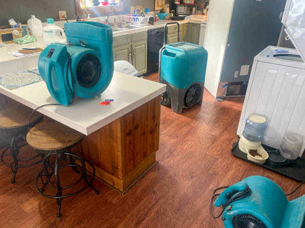 Best Basement water damage restoration  in Hopewell, VA