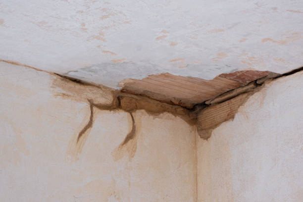 Best 24/7 water damage repair  in Hopewell, VA