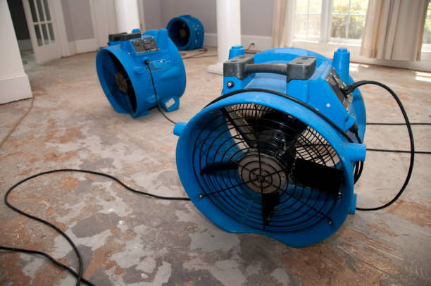 Best 24-hour water damage restoration  in Hopewell, VA