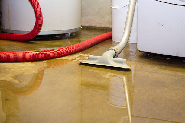 Best Carpet water damage restoration  in Hopewell, VA
